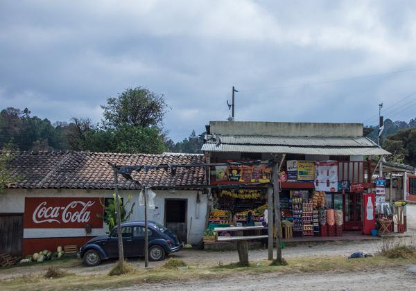  On Day 8 after birding in the morning, we traveled to San Cristobal de las Casas.